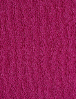Nex carpet