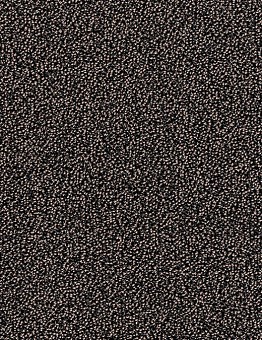 Carpet E-firm carpet